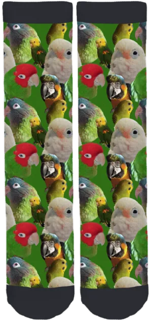 Capital Region Parrot Society Crew Socks