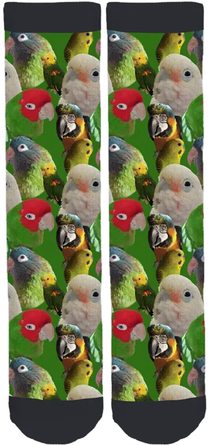 Capital Region Parrot Society Crew Socks