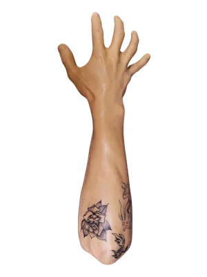 Dura Jerry Tattoo Training Arm