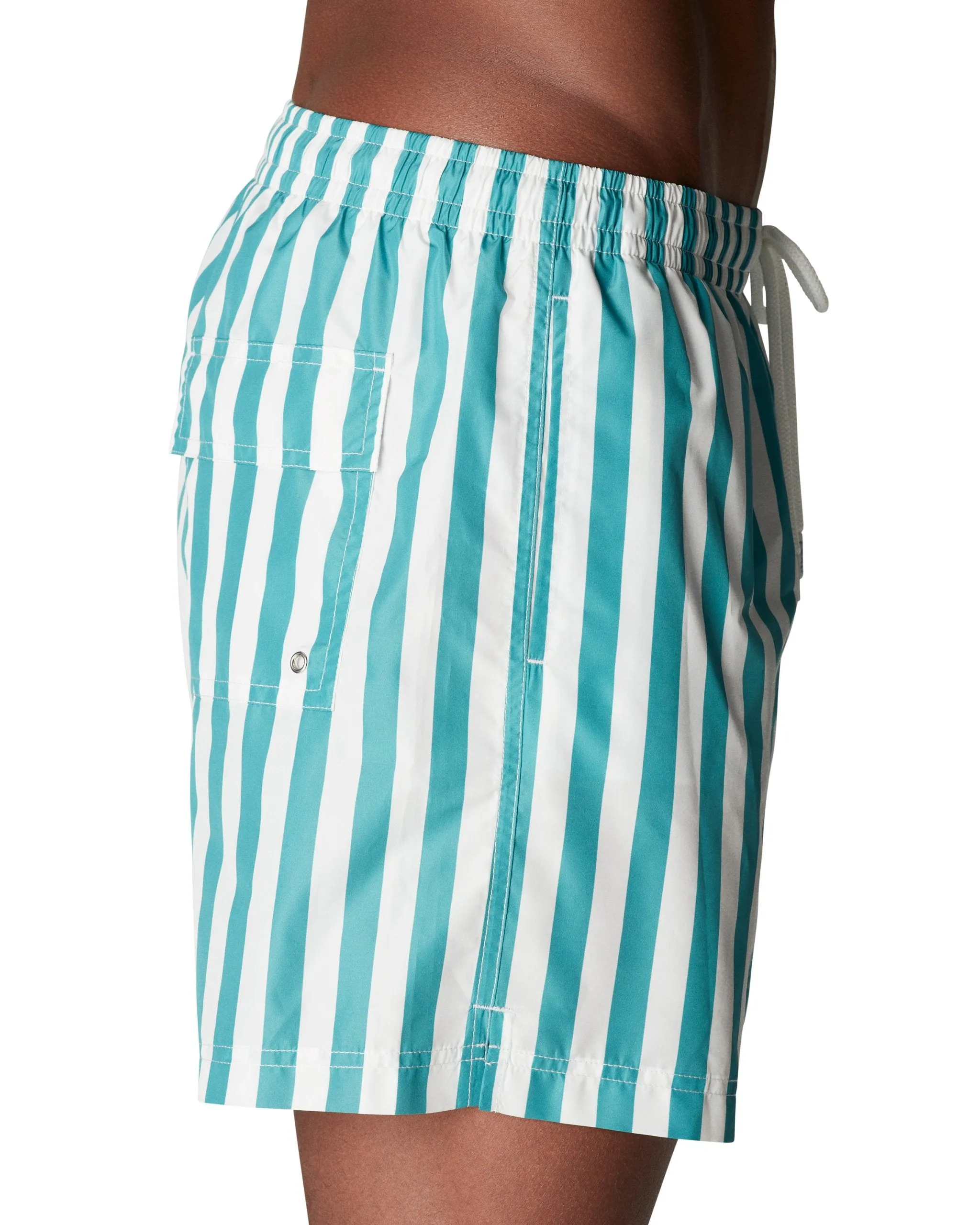 Striped Swim Shorts