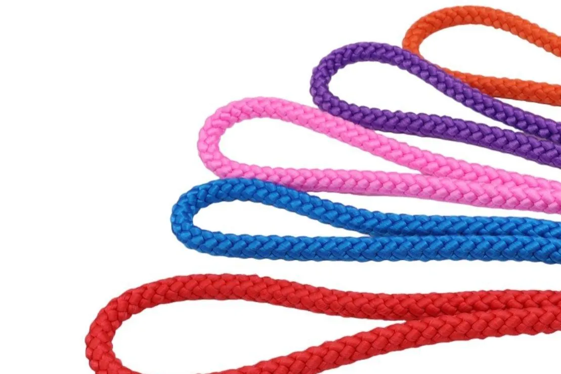 Thick Braid Slip Lead - 1.4m Long